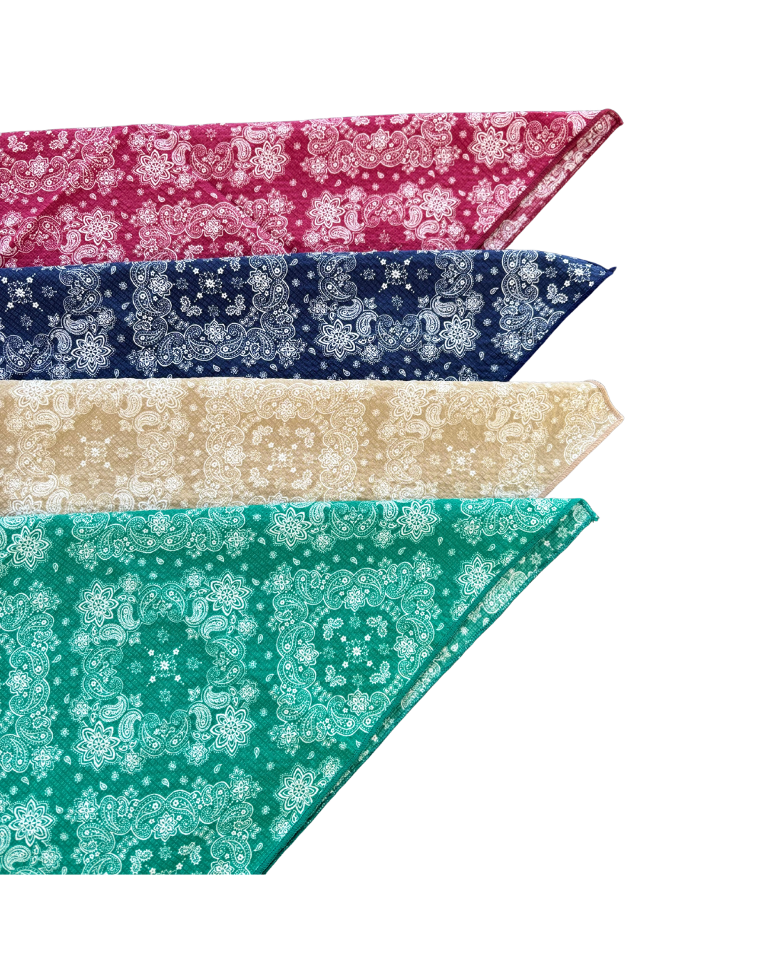 Paisly Scarf