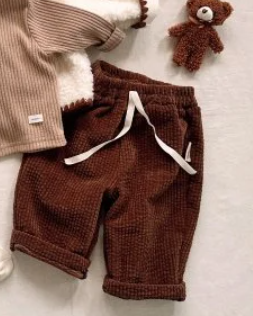 Winter Chino Pants Corduroy